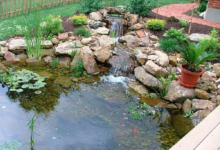 Cleaner Ponds – Your Guide to a Healthier, More Beautiful Water Feature