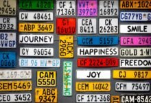 specialized car license plates