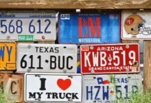 state specific vehicle registration numbers
