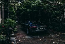 vehicle registration plate purchase