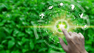 Is Your Business Ready to Go Green? Unleashing Eco-Friendly Strategies for Success