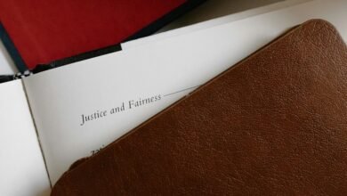 inanimismo in legal contexts