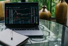 beginner friendly stock tips