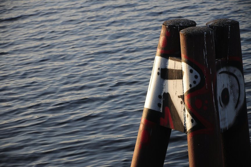 mozillad5 2f5 installation guide