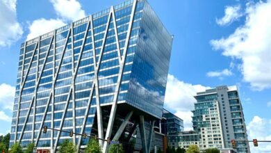 global market expansion trends