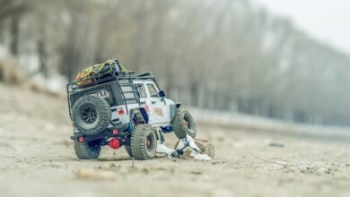 digital scale expansion control