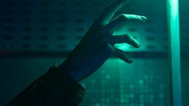 visibility growth through optimization