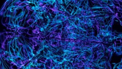 apex neural pulse technology