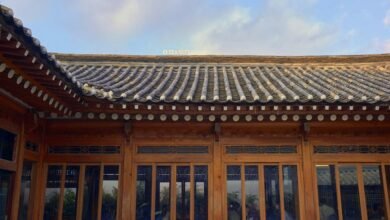 digital beam fusion apex