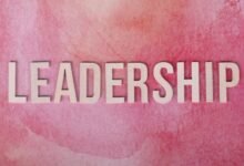 dynamic vision authority growth