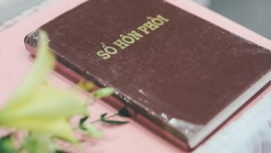 military records and alerts