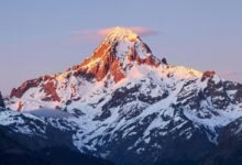 neural apex flux technology