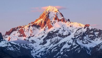 neural apex flux technology