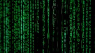 stellar cyber flow matrix