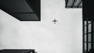 flyarchitecture benefits for home use