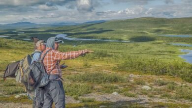 the ultimate guide expert tips