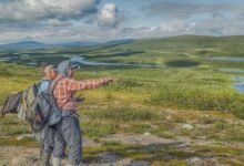 the ultimate guide insights