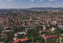 top facts about buntrigyoz now