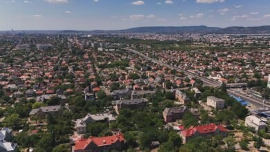 top facts about buntrigyoz now
