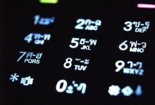 understanding 6194332755 numeric identifier explored