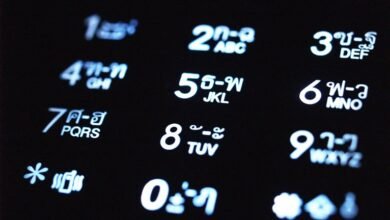 understanding 6194332755 numeric identifier explored